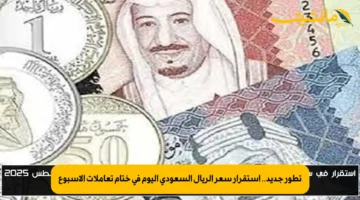 تطور جديد.. استقرار سعر الريال السعودي اليوم في ختام تعاملات الأسبوع